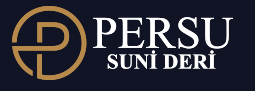 Partner 1